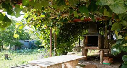 Vieiro Verde 2 Rustic