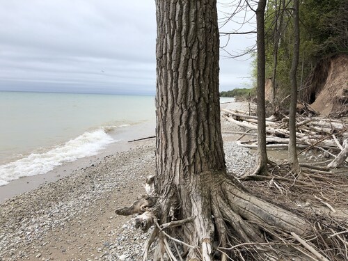 SUNRISE CREEK | Private Beach House Near Door County