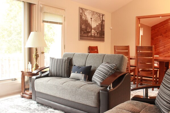 Smart TV, fireplace, video games, DVD player