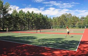 Sports court - 3 pools! Updated bedroom/loft area. Minutes from ski/golf/lakes. (Harbor Springs)