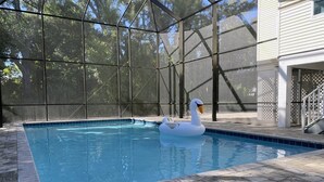 Unclassified image, 5 of 61, button - Ardsley Way (Sanibel)