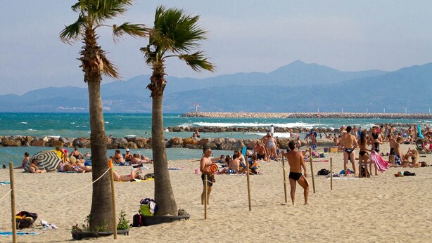 A crowded beach with palm trees, people sunbathing, and a rocky breakwater in the background.