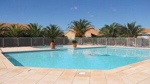 A swimming pool with tiled edges, surrounded by a fence and palm trees.