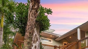 House (Nerita Home) | Exterior - Nerita Home (Sanibel)