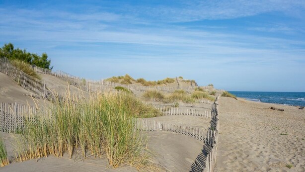 Una playa arenosa con cercas de madera y dunas.