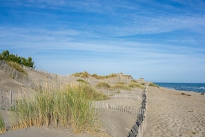 A sandy beach with wooden fences and dunes.