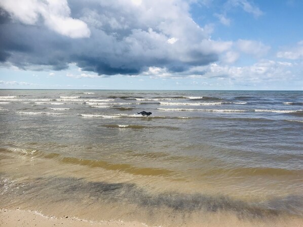 On the beach, sun-loungers, beach towels - Lake Ontario Beach House Getaway-House #2 (Henderson)