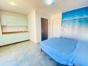Studio | Iron/ironing board, free WiFi, bed sheets