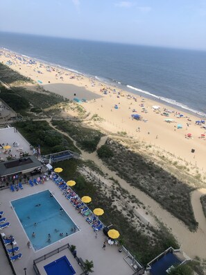 Indoor pool, outdoor pool - The Plaza - Direct Oceanfront  Luxury Condo with Beach bar-Discount weekly  (Ocean City)