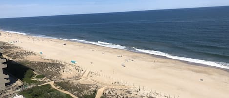 On the beach, sun loungers