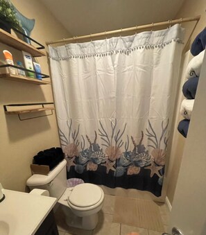 Combined shower/tub, hair dryer, towels, soap