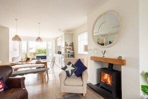 Smart TV, fireplace, books