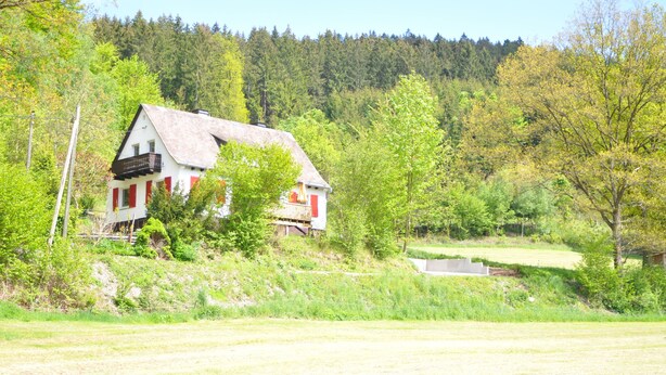 Een huis met een schuin dak, omringd door weelderige begroeiing en een beboste helling.