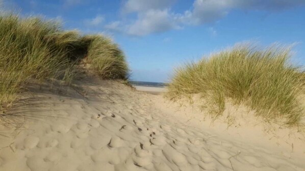 Beach - Flint Cottage - a charming home and dog friendly! (Norfolk Gayton,)