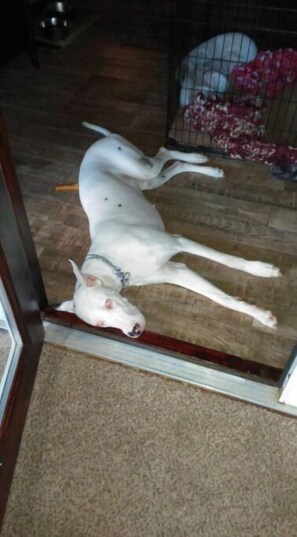 Unclassified image, 5 of 7, button