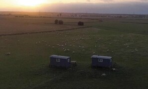 Un paysage rural avec deux petites maisons aux couleurs sombres et un champ rempli de moutons.