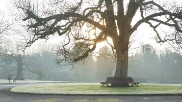 Cottage (2 Bedrooms) | View from property