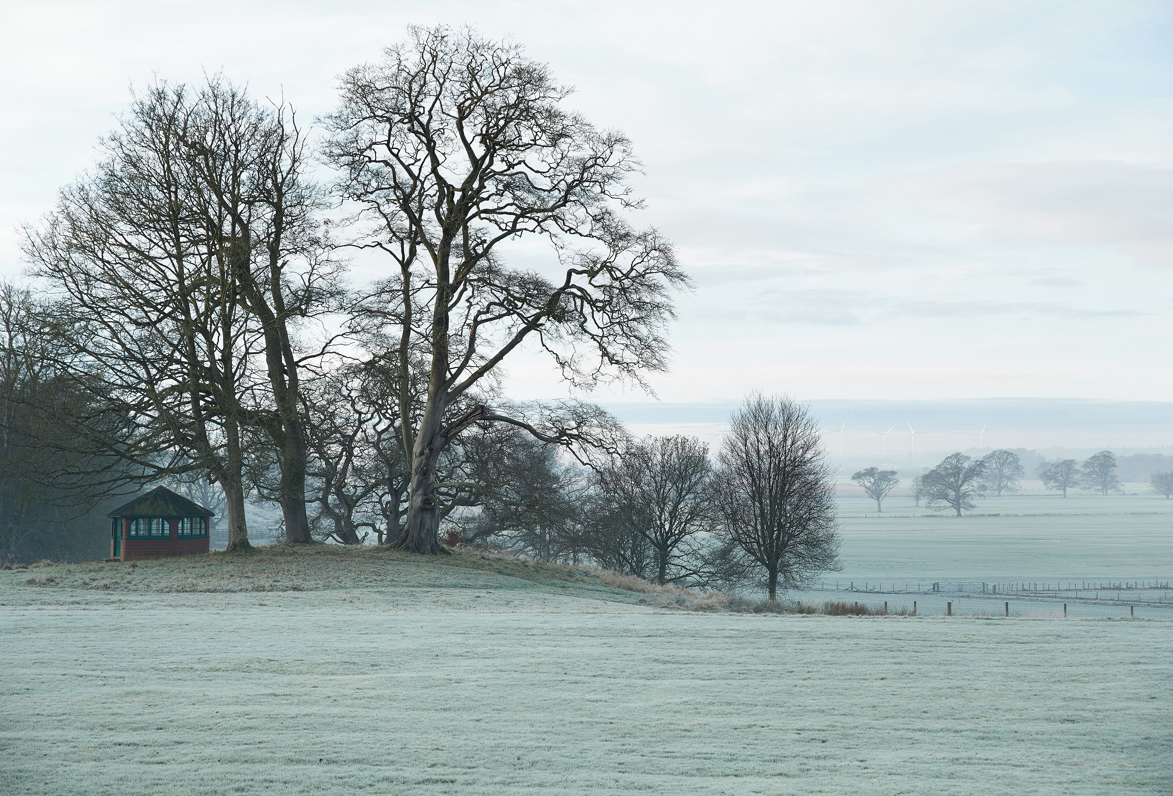 Cottage (2 Bedrooms) | Pemandangan dari properti