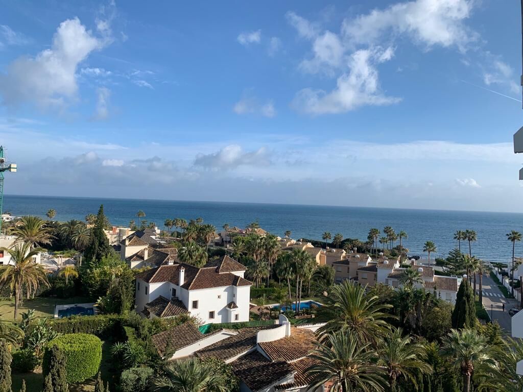 Ein Küstenwohngebiet mit Häusern, Palmen und Blick auf das Meer.