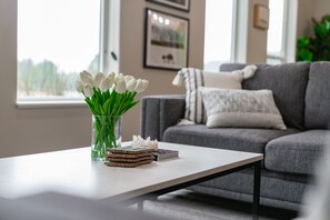 TV connectée, cheminée, livres, médiathèque