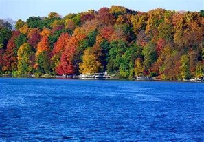 A lake with a forested shoreline. - Vacation In STYLE! 2 minutes to Road America, Beach, Golf, Downtown Elkhart Lake (Elkhart Lake)