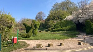 A well-maintained garden with neatly trimmed hedges and a clear pathway. - Liquorice Suite (Lincoln)