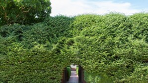 Un sentier bordé de haies verdoyantes et touffues qui mène à une arche en briques.