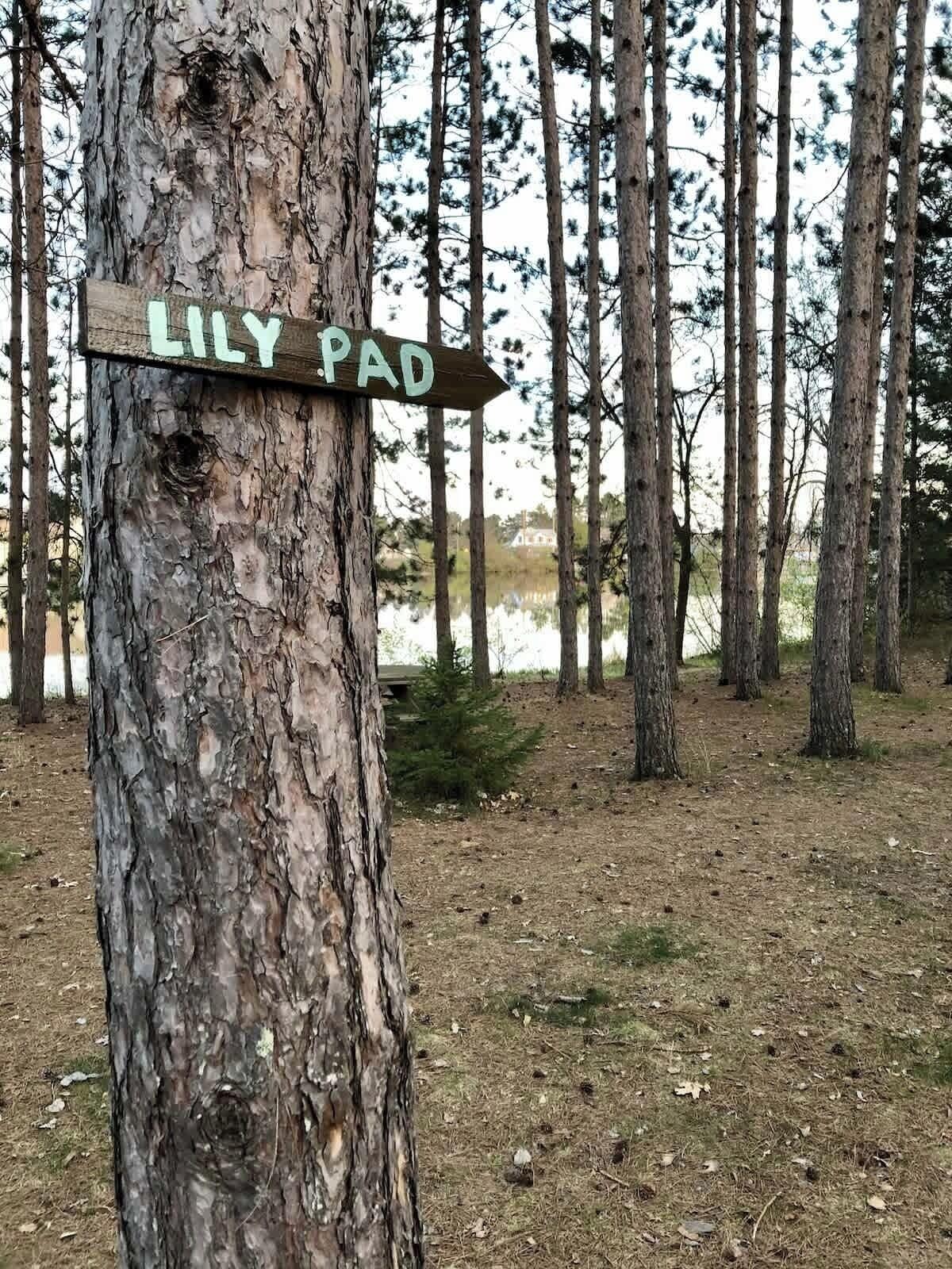 A wooden sign on a tree with the text "LILY PAD" pointing to the right.