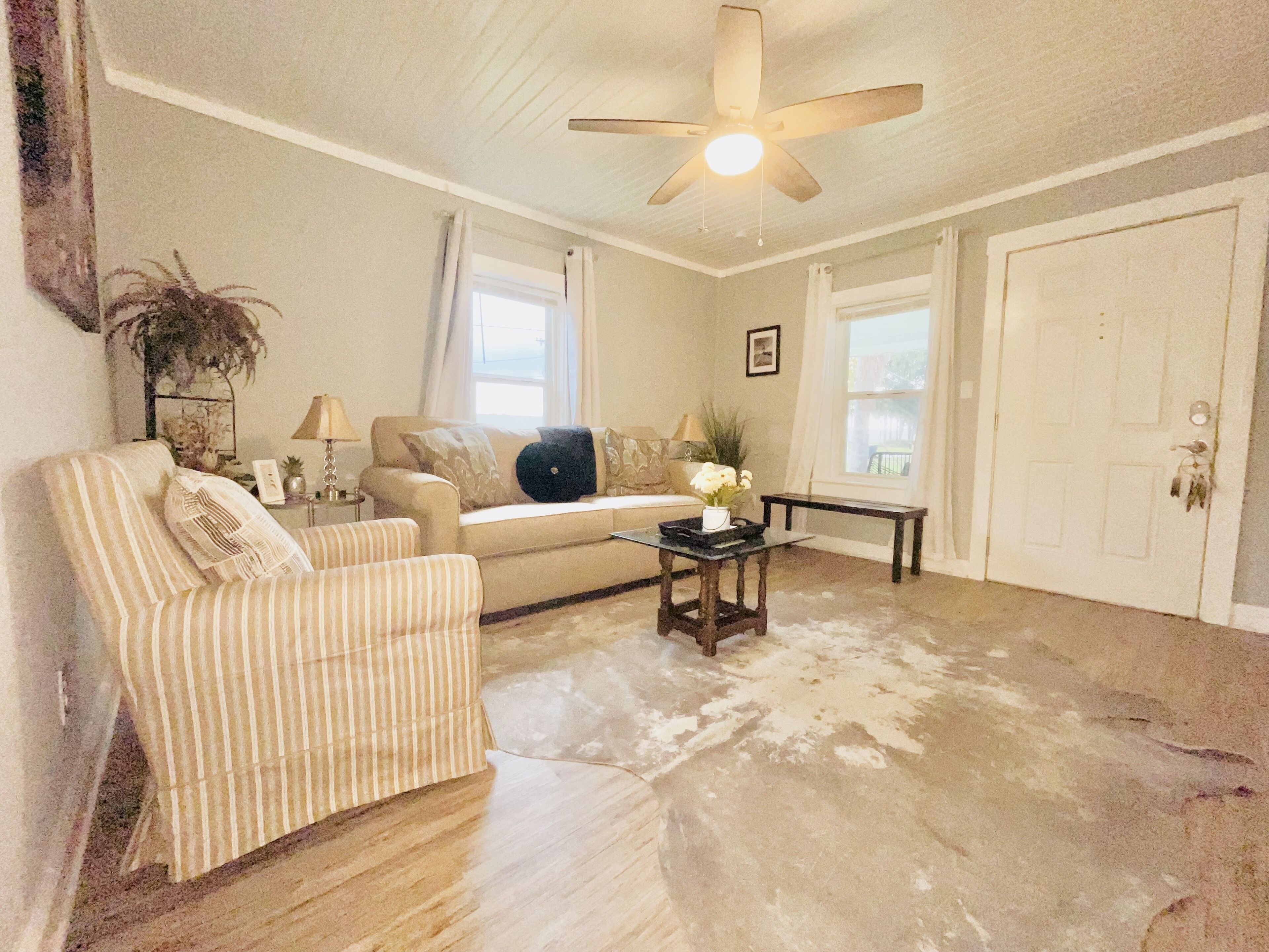 Corner Home in the heart of Tampa