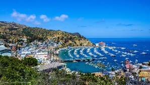 A coastal town with a marina filled with boats, surrounded by hills and residential buildings.