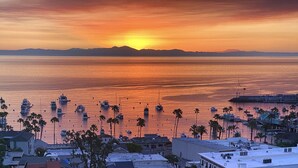 A coastal cityscape at sunset with boats docked along the waterfront, palm trees, and buildings with flat roofs.