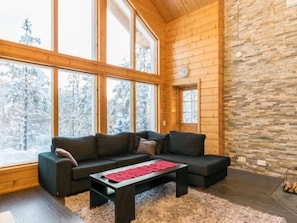 TV, fireplace, DVD player