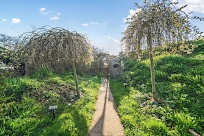 A garden pathway flanked by trees and shrubs, leading to a stone structure. - Luxury Pod-Sleeps 2-Hot Tub-Pets-Garden (Sheerness)