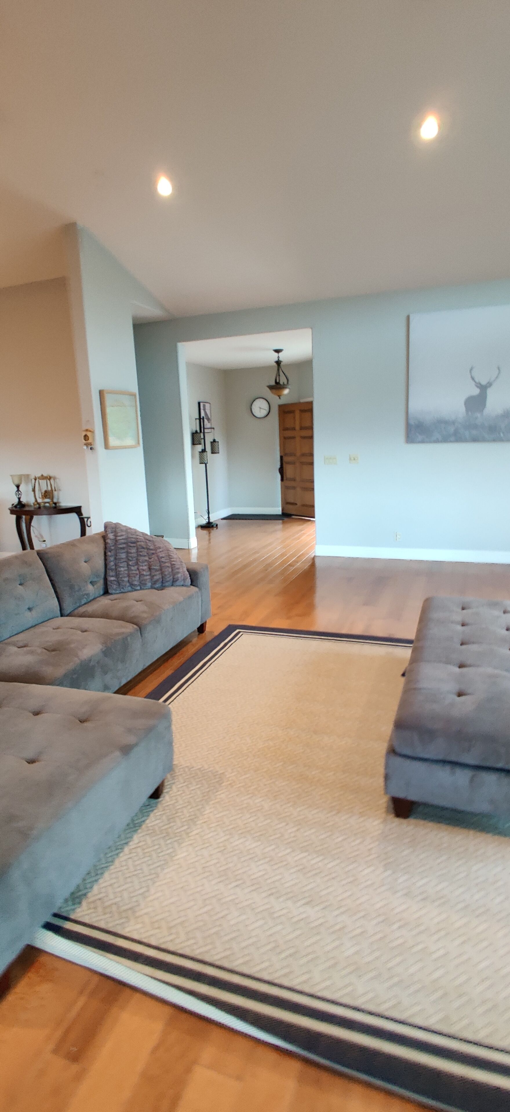Panoramic House | Living area | Fireplace