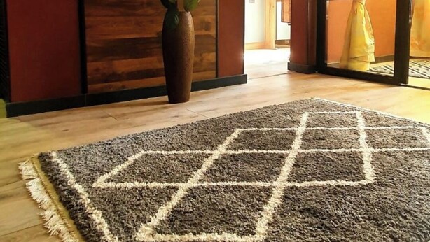 Una stanza con pavimento in legno, un tappeto decorato, un vaso con fiori e un televisore appeso al muro.