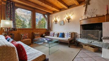 TV, fireplace, DVD player, books