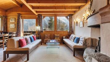 Télévision, cheminée, lecteur de DVD, livres