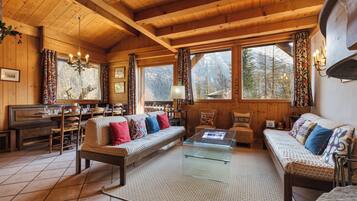 TV, fireplace, DVD player, books