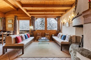 Télévision, cheminée, lecteur de DVD, livres