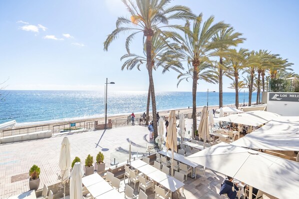 A seaside patio with tables and chairs, palm trees, and a view of the ocean.