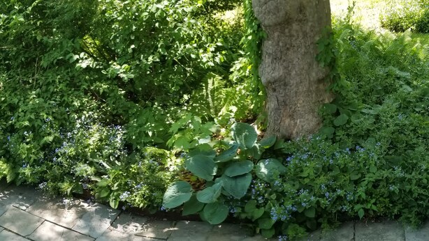 Ein gepflasterter Weg, gesäumt von üppigem Grün und blühenden Pflanzen.