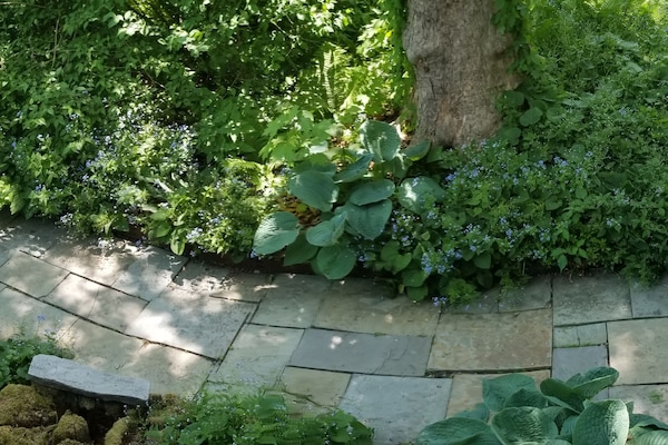 Entrance slate walkway