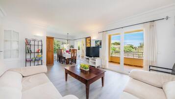 Fernseher, Stereoanlage