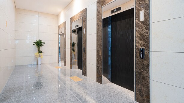 Un área de ascensor moderna con paredes de mármol, suelo pulido y una planta en maceta.