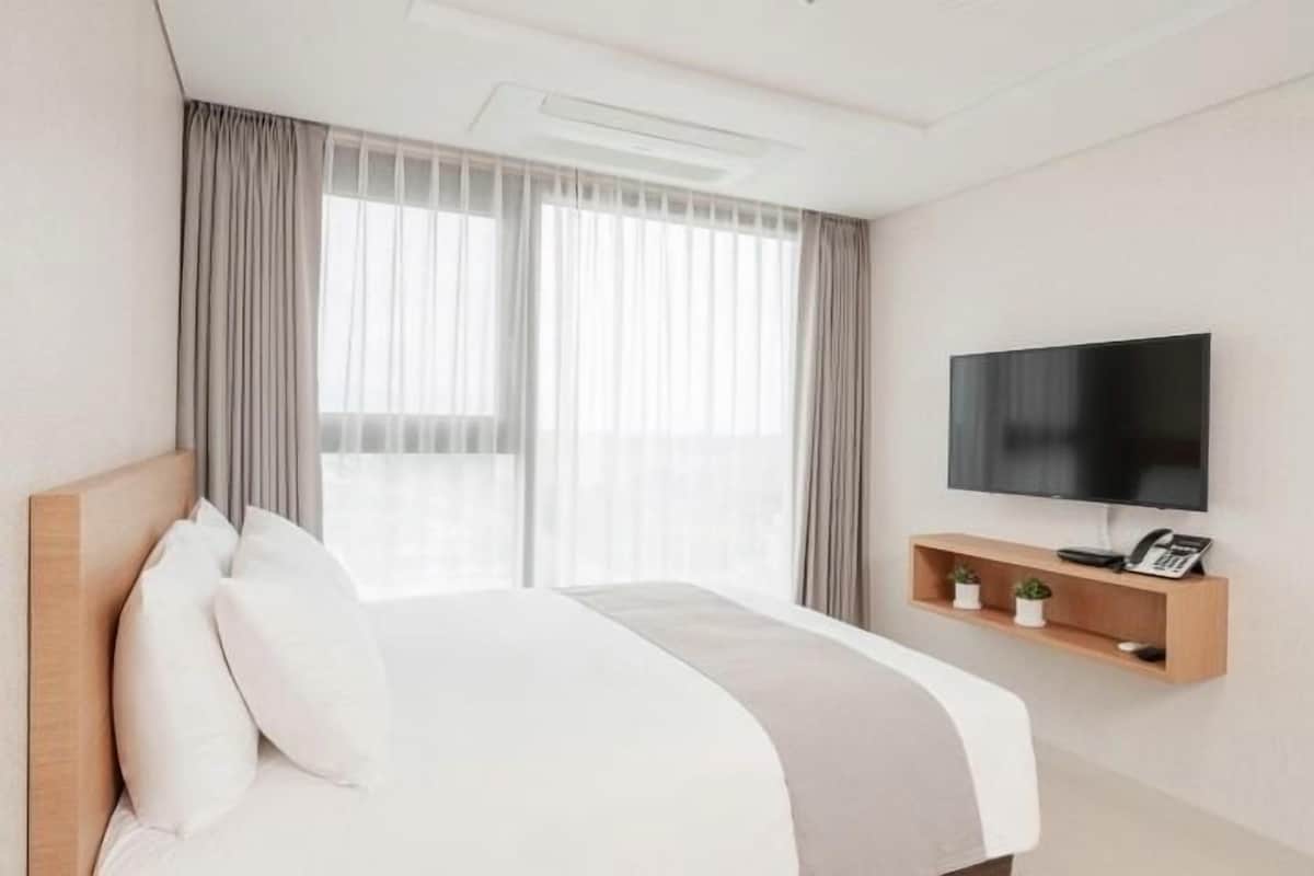 A hotel room with a large bed, a flat-screen TV, a bedside table with a phone and a small plant, and a window with curtains.