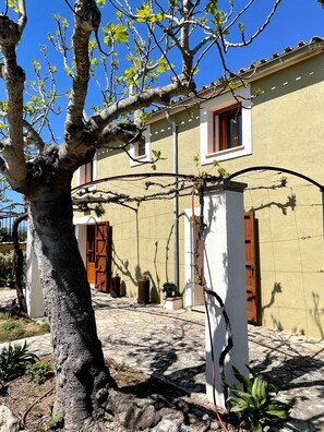 Overnattingsstedets uteområder