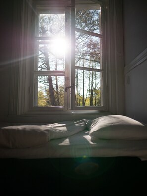 Standaard tweepersoonskamer | Een strijkplank/strijkijzer