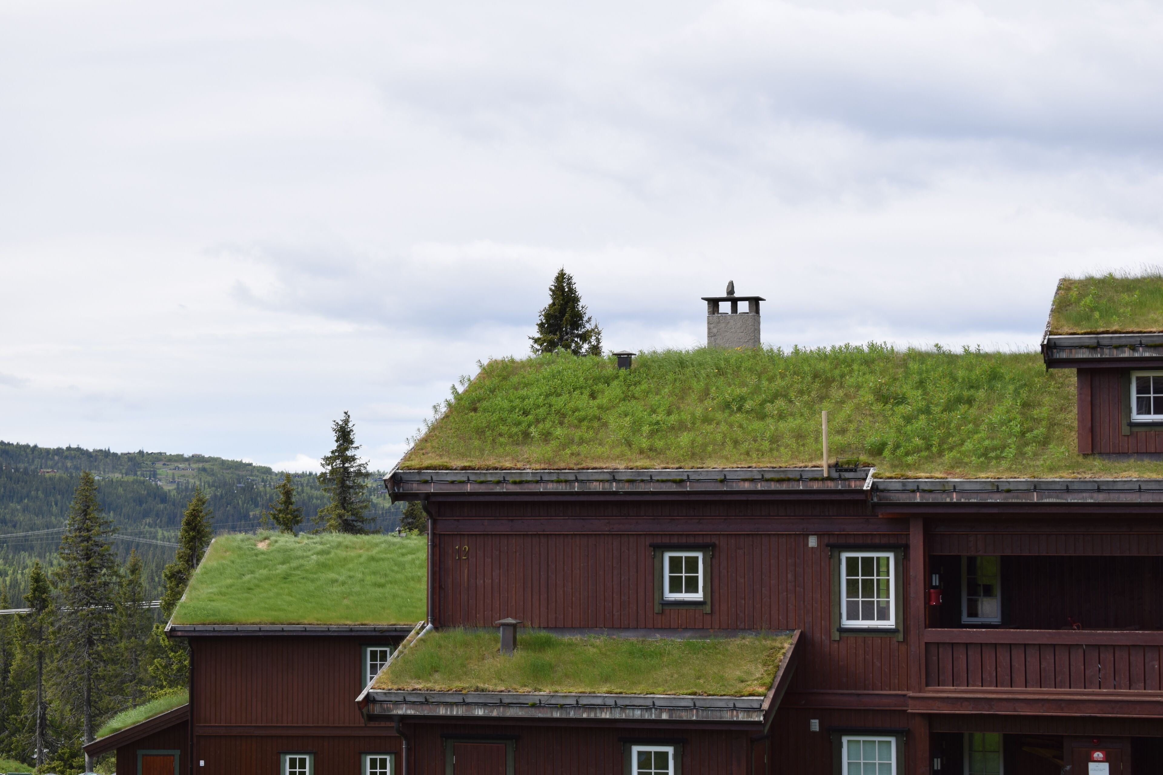 A wooden building with a grass-covered roof and a chimney.