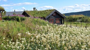 A rustic cabin with a thatched roof and a wooden exterior, surrounded by a lush garden with white flowering plants and purple flowers. - Skeikampen Booking (Gausdal)