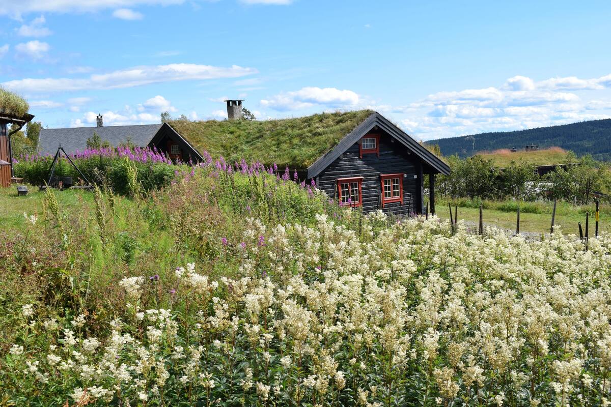 A rustic cabin with a thatched roof and a wooden exterior, surrounded by a lush garden with white flowering plants and purple flowers.